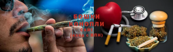 шишки Бронницы