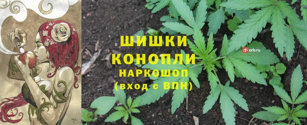шишки Бронницы