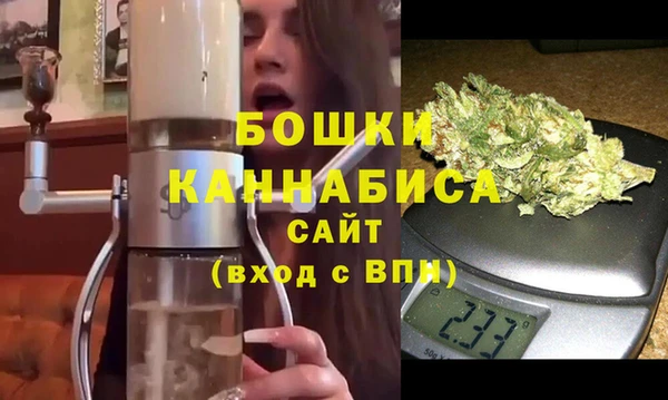 шишки Бронницы